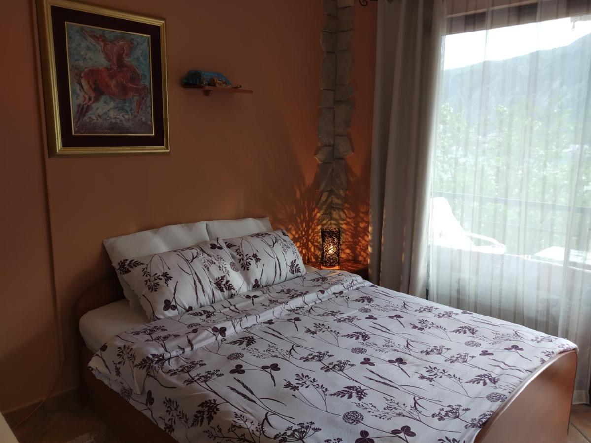 Apartment Aki 科托尔 外观 照片