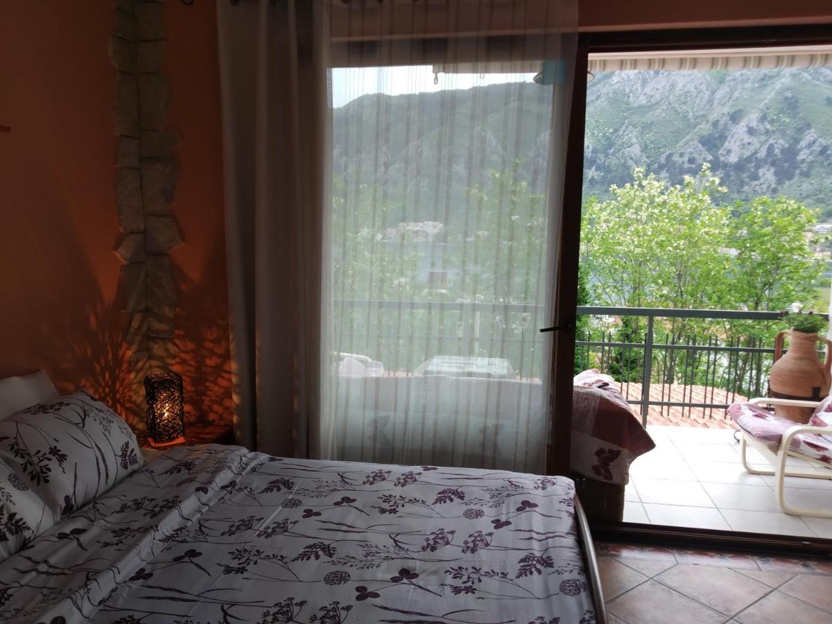 Apartment Aki 科托尔 外观 照片