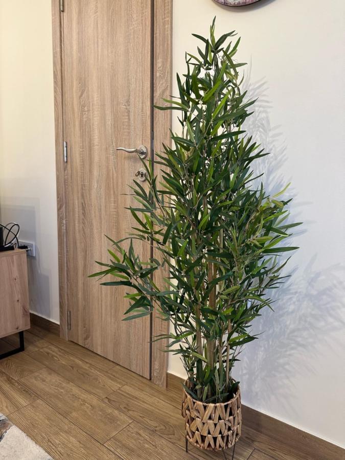 Apartment Aki 科托尔 外观 照片